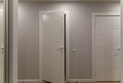 Частная квартира в Москве, двери Split